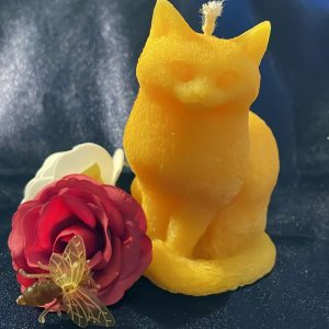 Katze aufrecht sitzend [005]