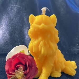 Katze Langhaar [006]