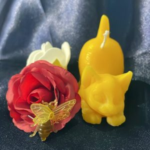 Katze Hintern hoch  [012]