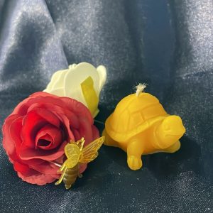 Schildkröte mini [015]