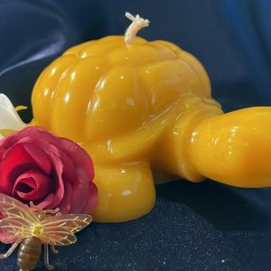 Schildkröte gross [016]