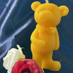 Teddybär Mann [017]