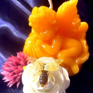 Schlafender Engel [049]